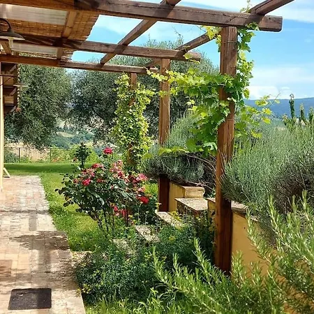 Il Casale Degli Ulivi- Splendido Casale Panoramico Con Piscina A 30 Min Da Roma Gra
